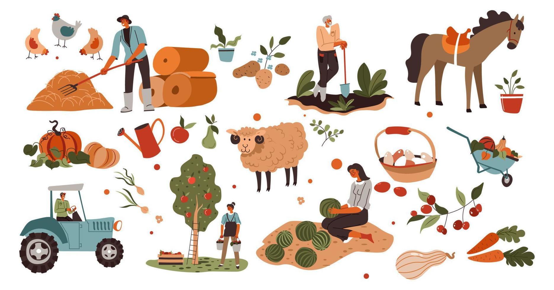Farming and agriculture at farm, working on field vector