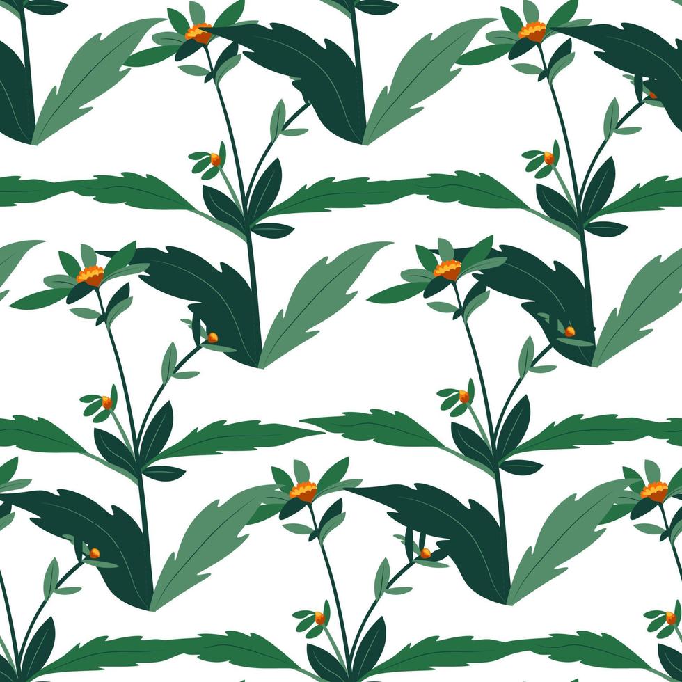 Floral botany with leaves and blossom pattern vector