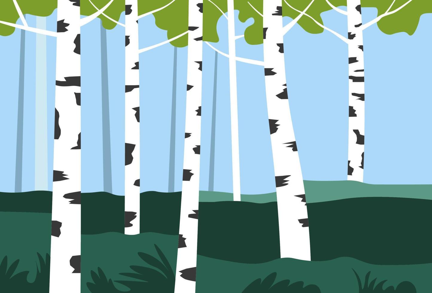Birch trees in park or valley, nature landscape vector