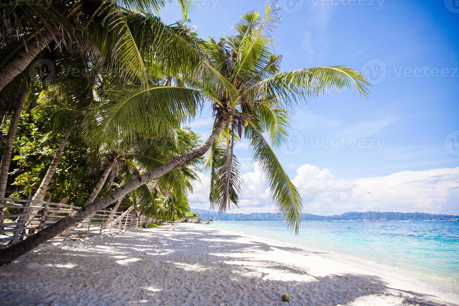 Perfect white beach with green palms and turquoise water photo