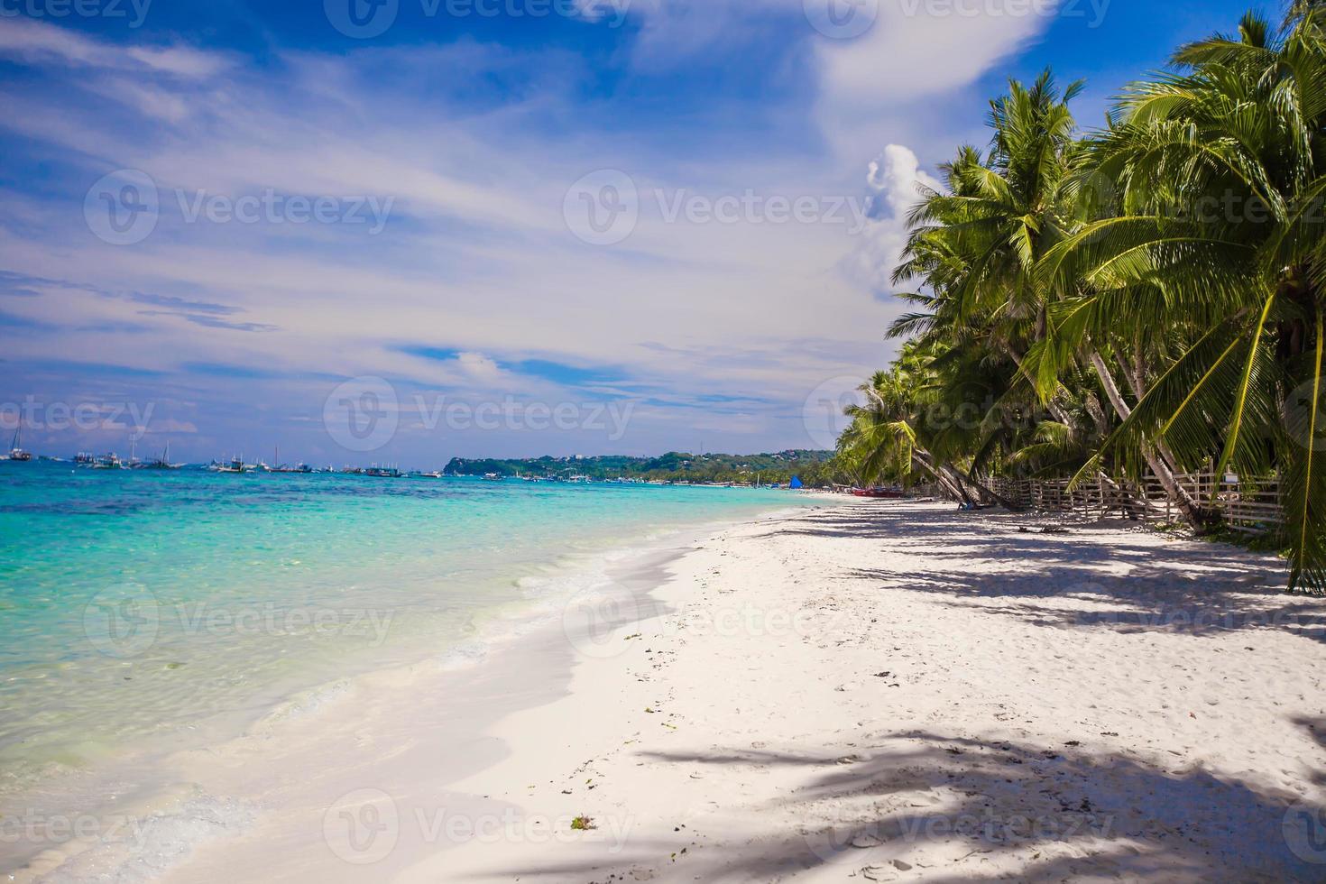 Tropical beach with beautiful palms and white sand, Philippines photo