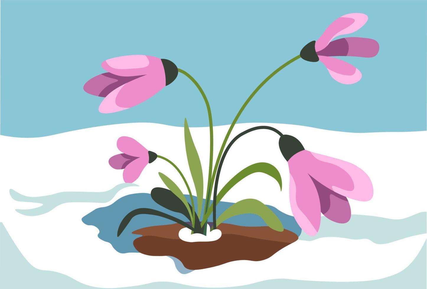 Crocus growing out of snow, spring season vector