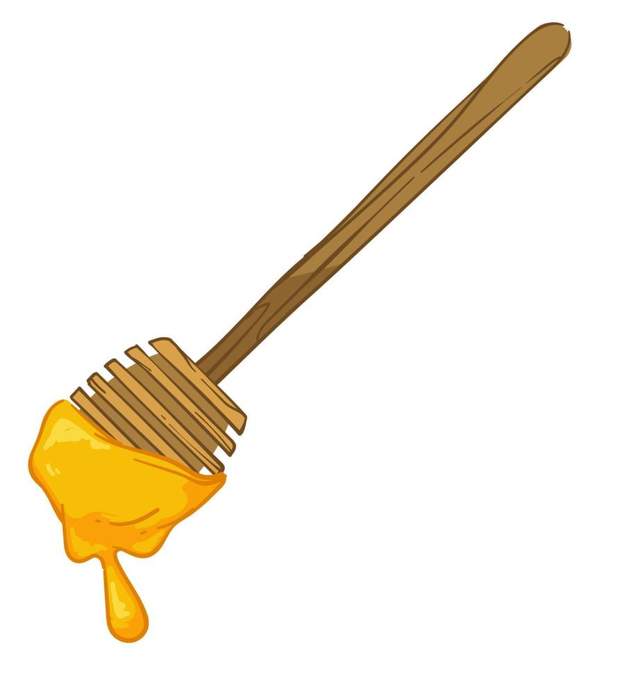 Wooden honey dipper with sweet nectar dripping vector