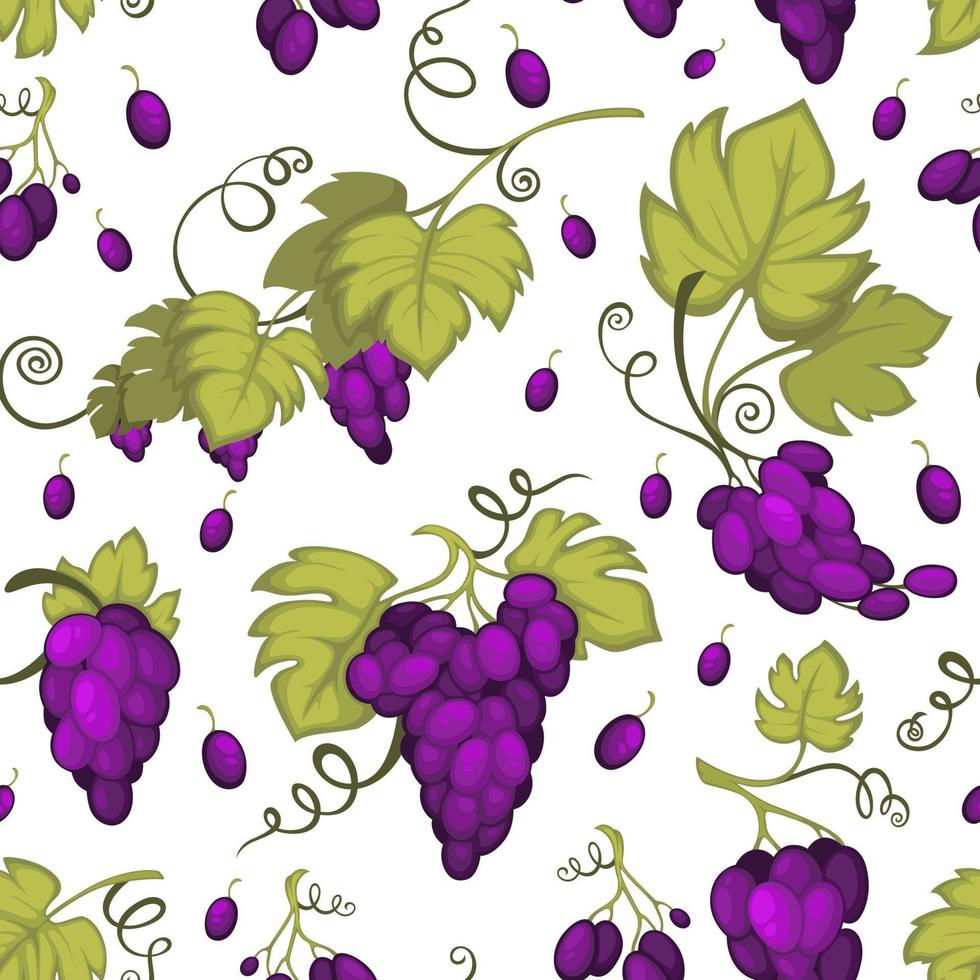 Ripe grapes, fruit harvesting seamless pattern vector