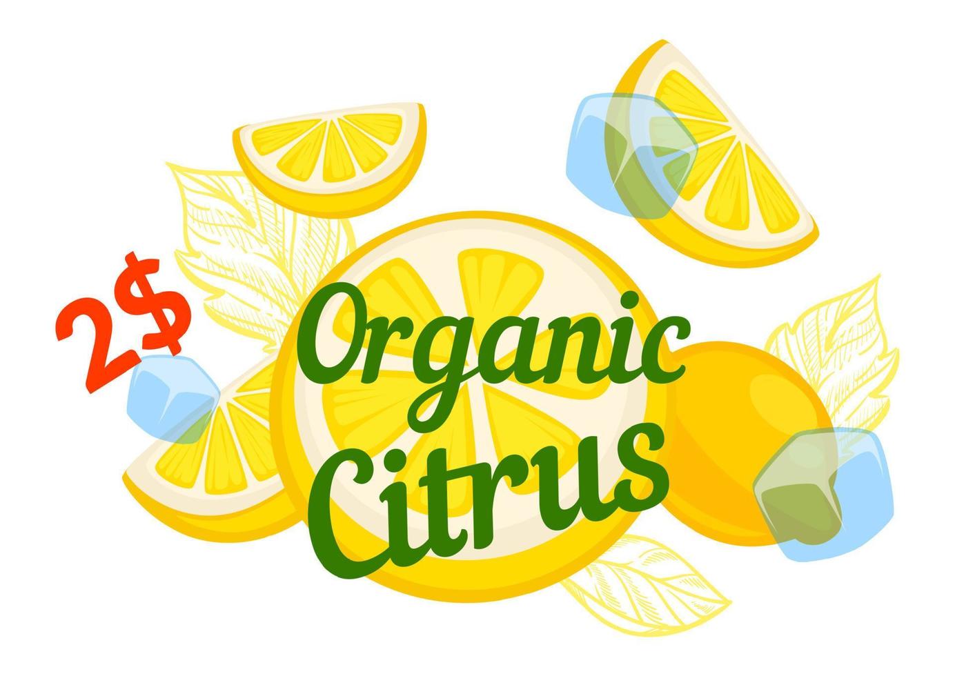 Organic citrus beverage, lemonade promo banner vector