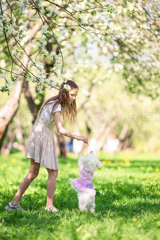 Two little kids on picnic in the park photo