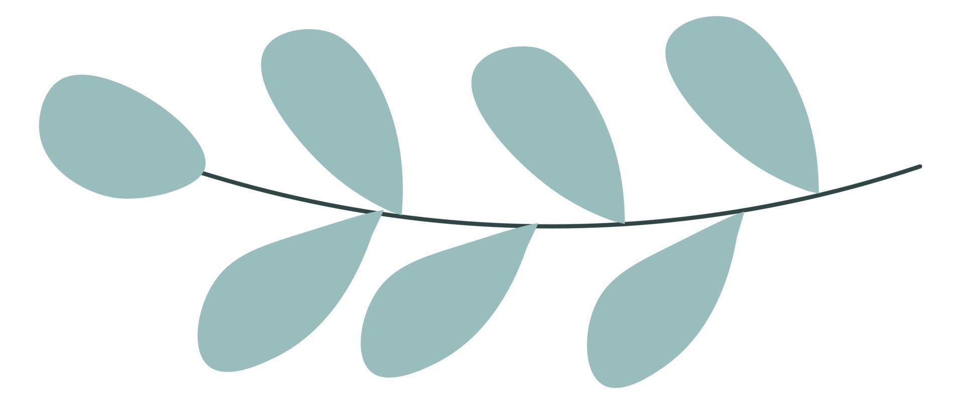 Branch of flower or plant, organic and eco vector