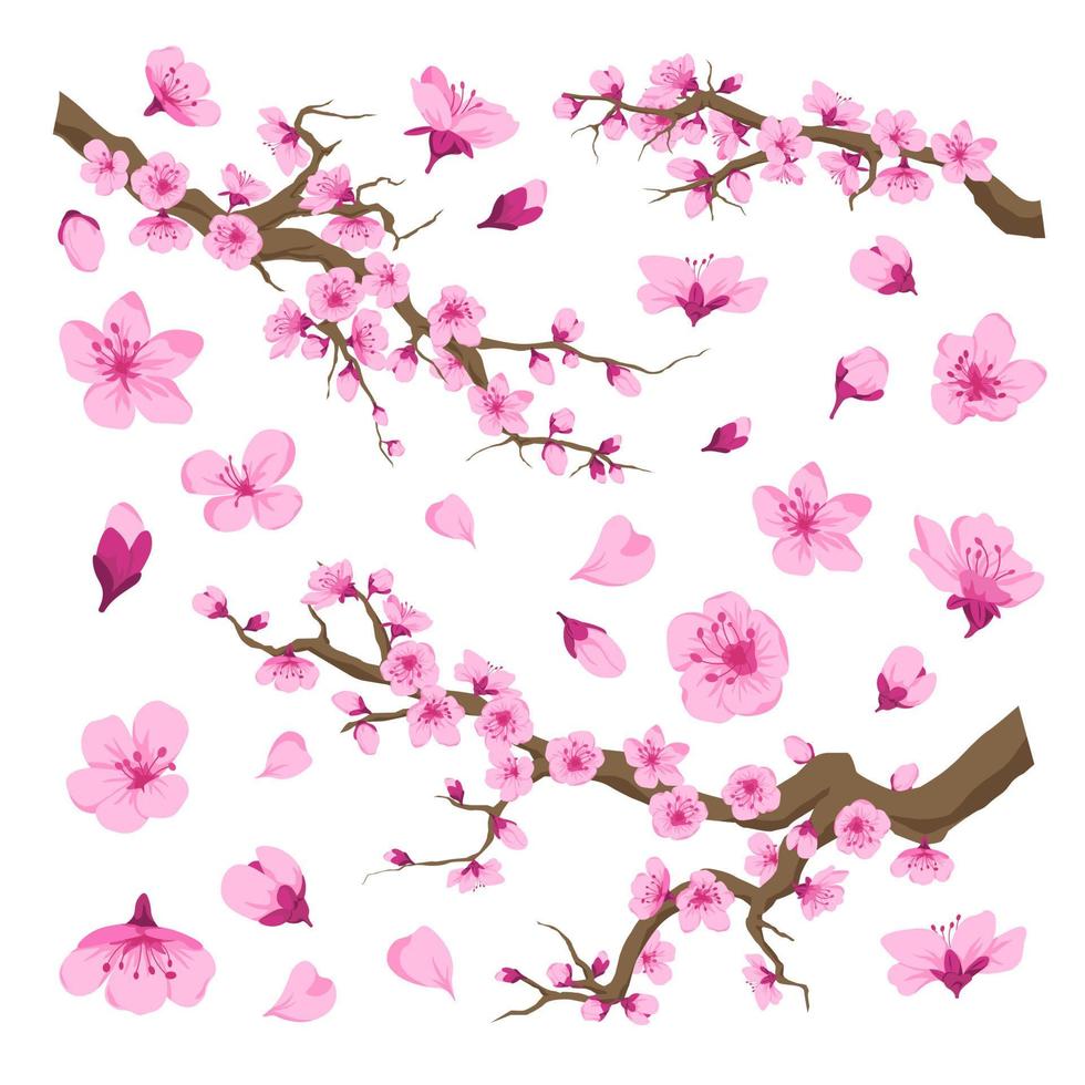 Sakura blossom, cherry tree with flowers pattern vector