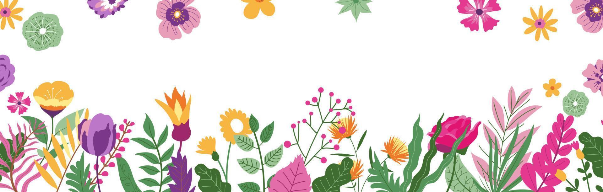 florecimiento de verano o primavera, pancarta o marco floral vector
