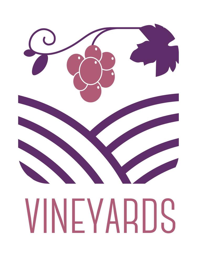 Vineyards winemaking and production of wine vector