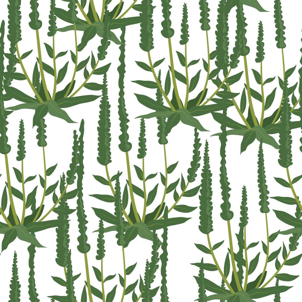 Foliage and greenery of plants, flora pattern vector