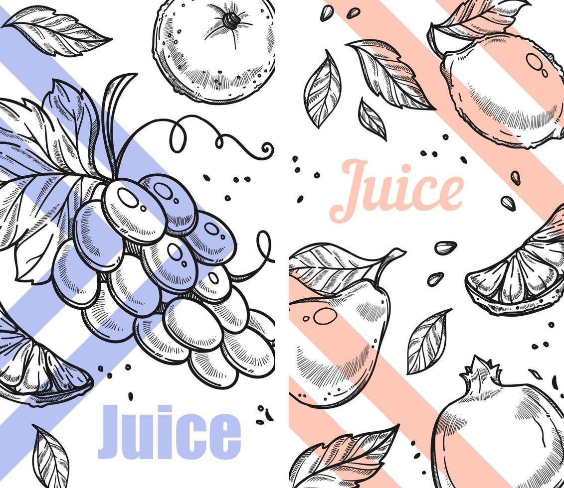 Juice from grapes, pear or apple, orange citrus vector