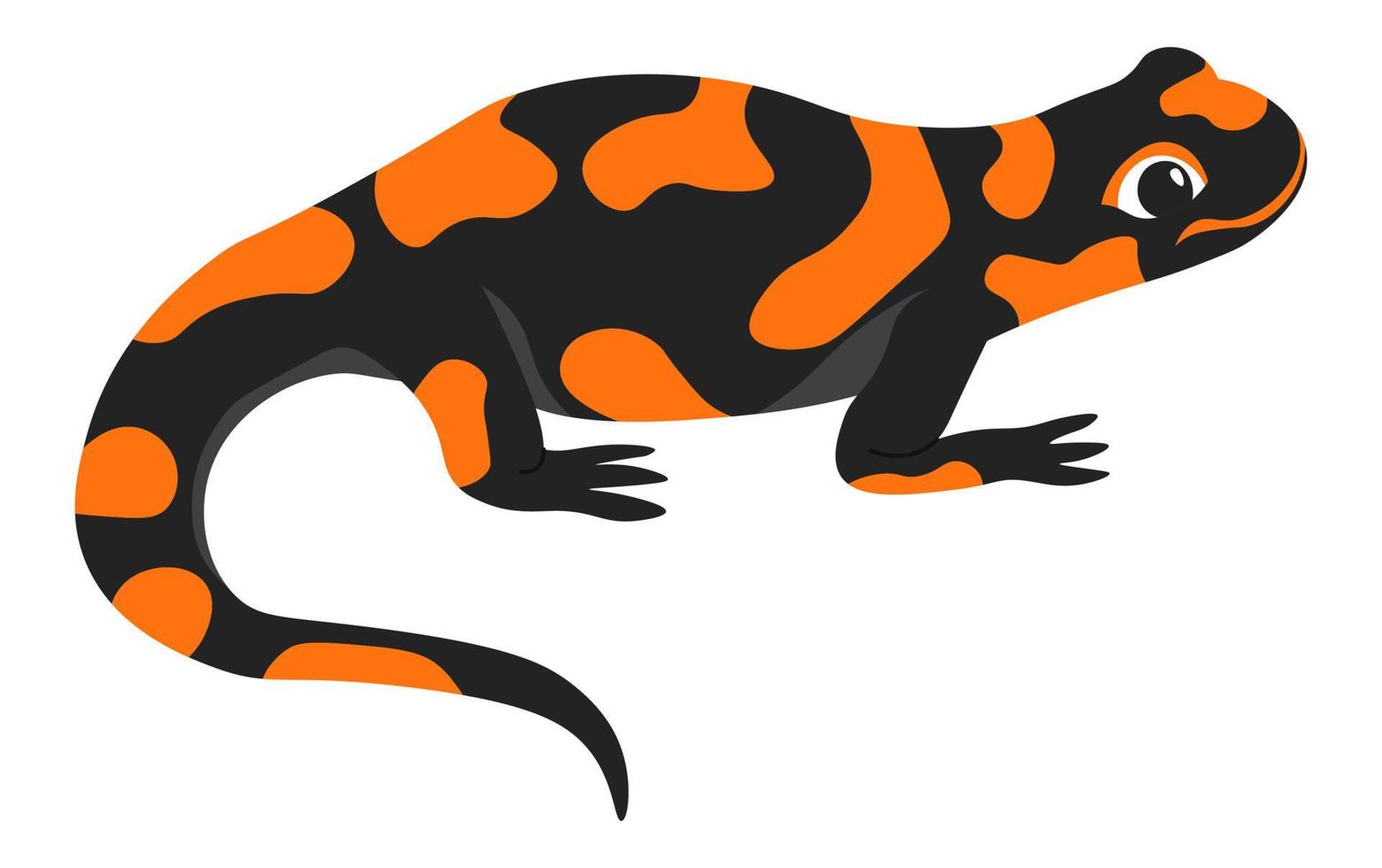 Salamander amphibian animal, crawling creature vector