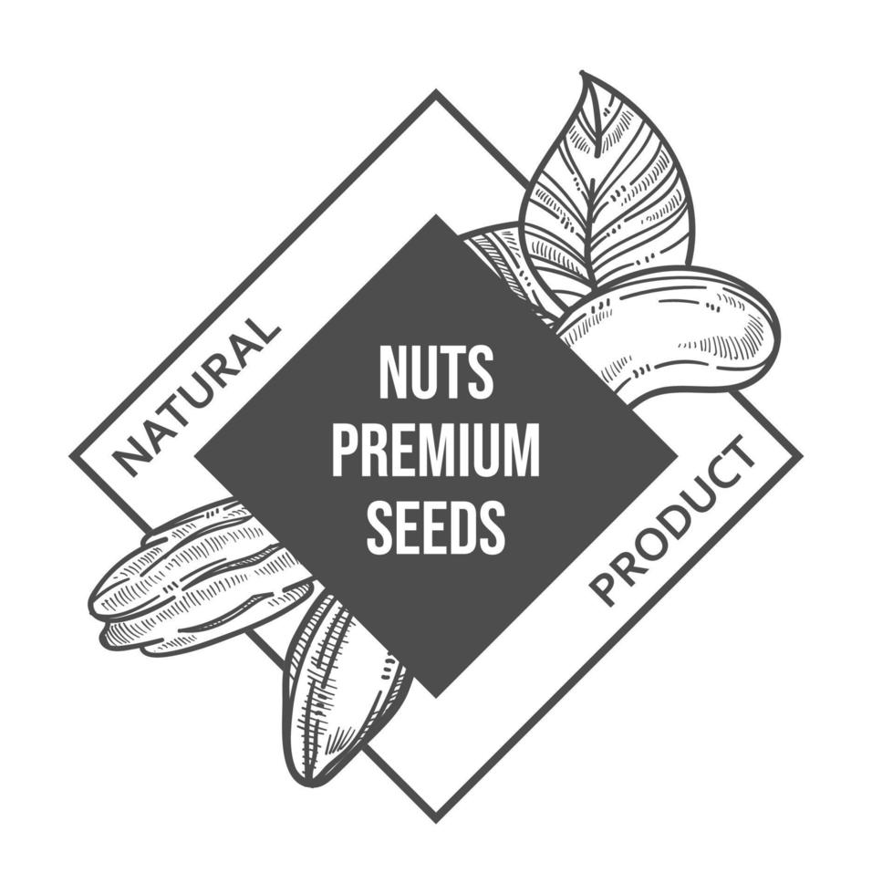 nueces y semillas premium, etiqueta de producto natural vector