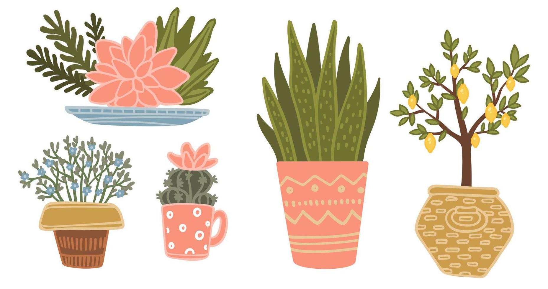 Vases with plants, potted houseplants blooming vector