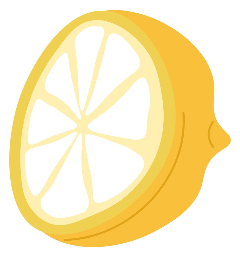 Slice of lemon, citrus fruit for cooking dishes vector