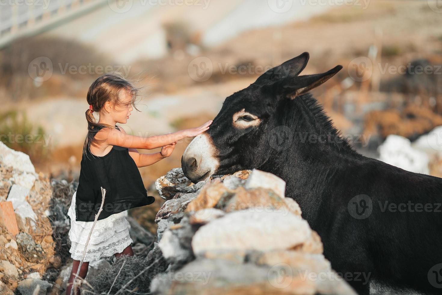 Little girl with donkey on the island of Mykonos photo