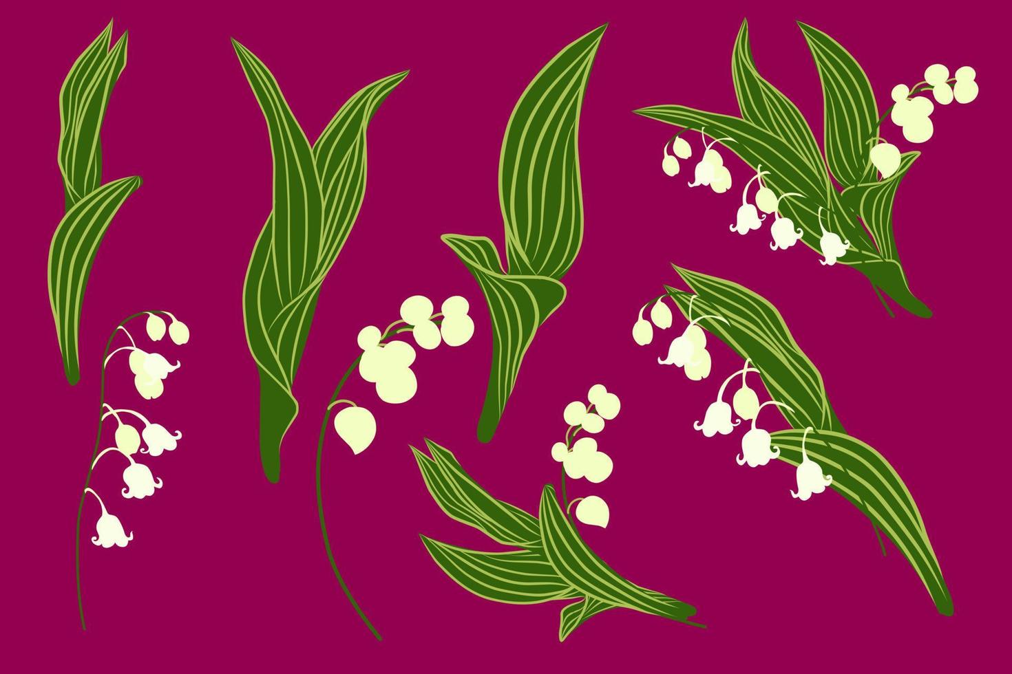 Spring set with lily of the valley flowers and herbs. Botanical illustration. vector