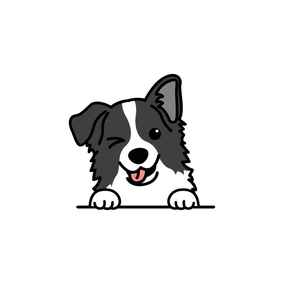 Cute border collie dog winking eye cartoon, vector illustration