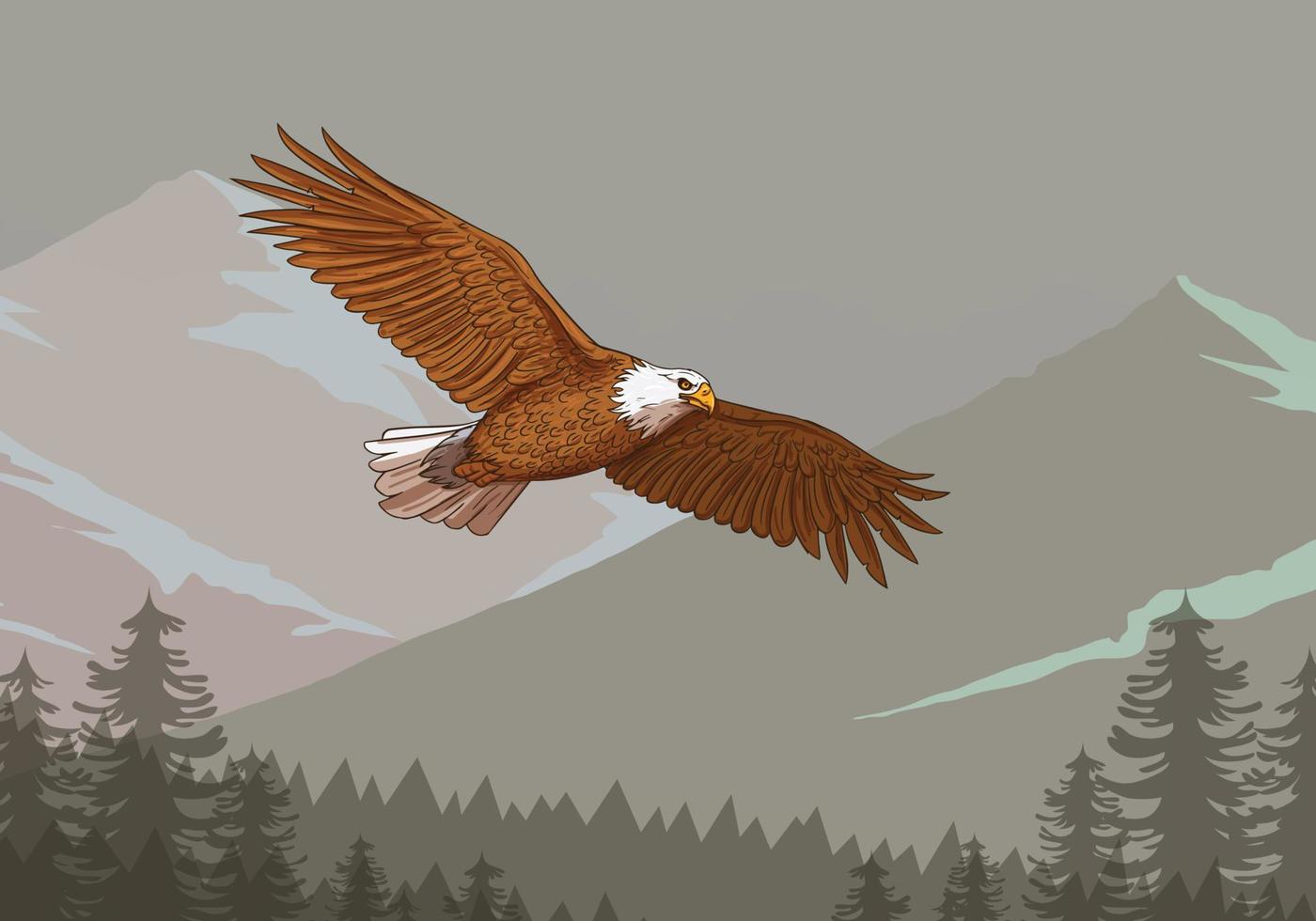 Flying Eagle , Bald Eagle Flying Over Forest And Mountain vector