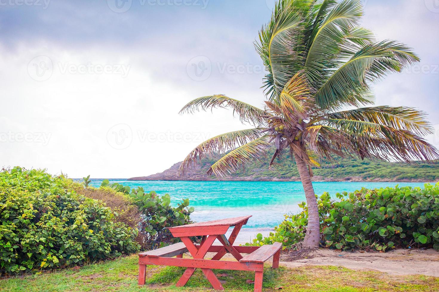 perfecta playa de arena blanca con agua turquesa y gran palmera foto