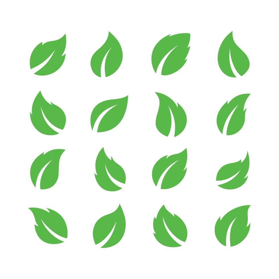set of green leaves vector illustration