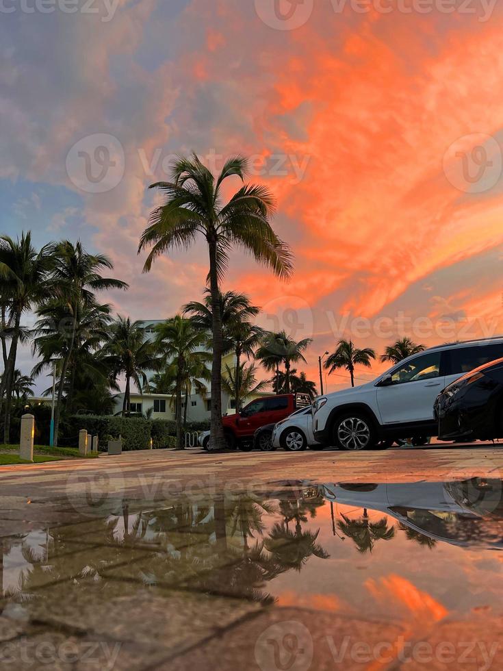 Beautiful coconut palm tree with amazing vivid sky at sunset photo