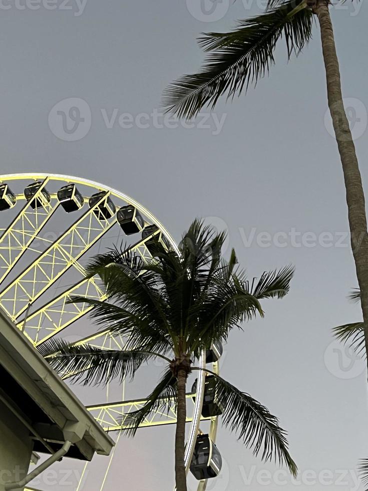 Ferris wheel in the park at the Downtown Miami at sunset photo