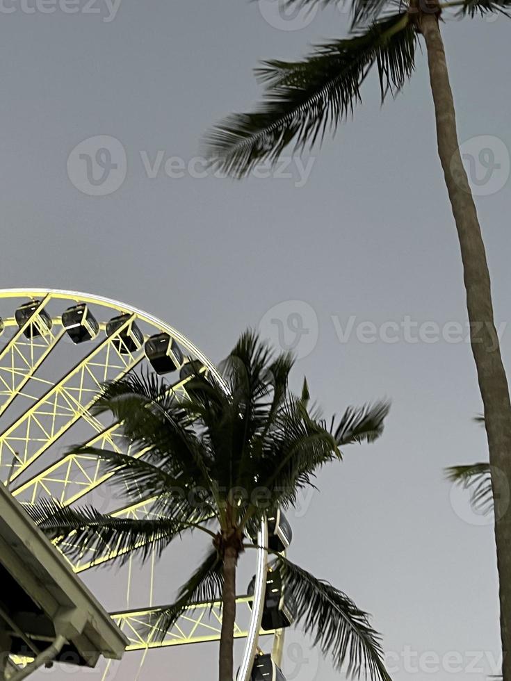 Ferris wheel in the park at the Downtown Miami at sunset photo