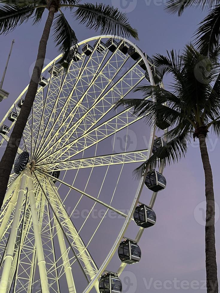 Ferris wheel in the park at the Downtown Miami at sunset photo