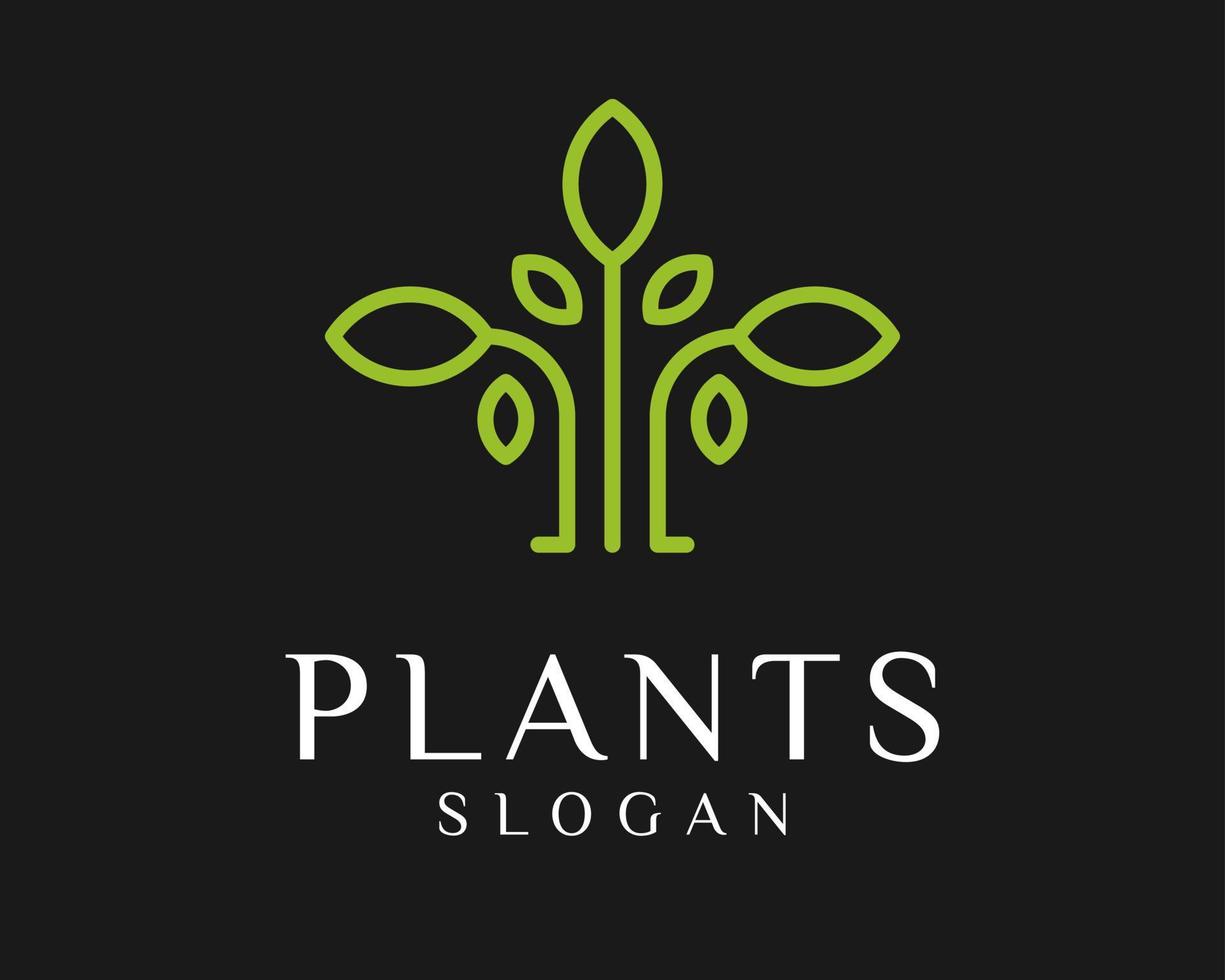 Plant Leaf Flower Leaves Nature Green Natural Floral Eco Botanical Simple Linear Vector Logo Design