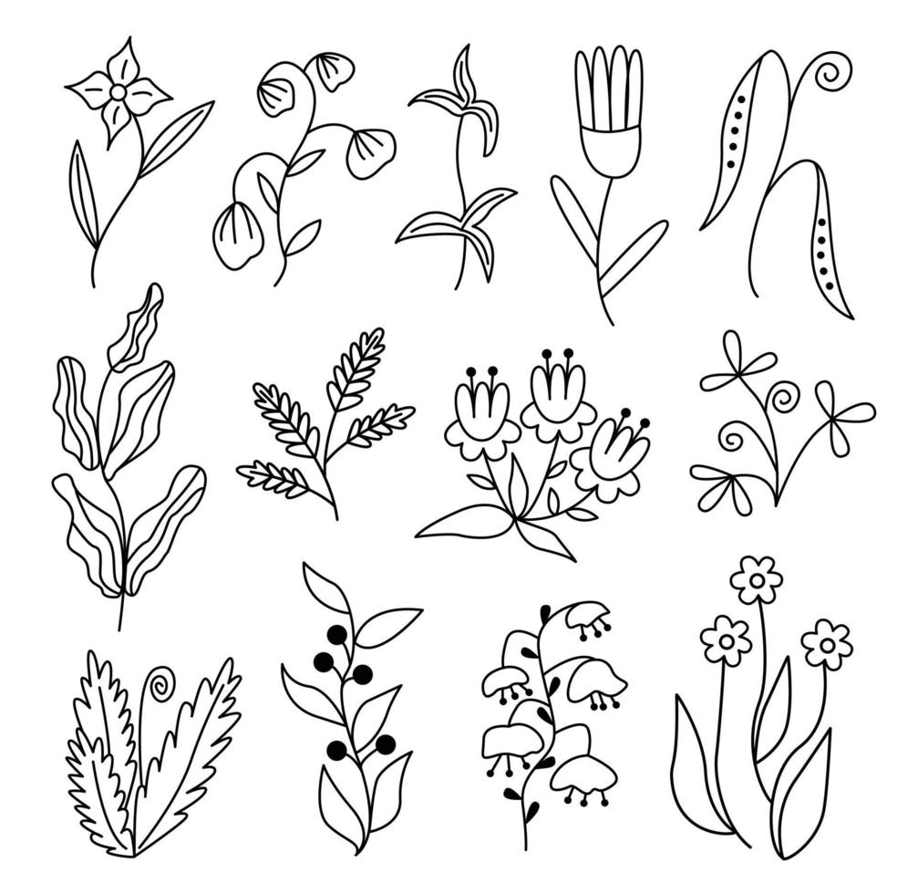 A set of plant elements in the doodle style. Spring Lettering Kit. vector