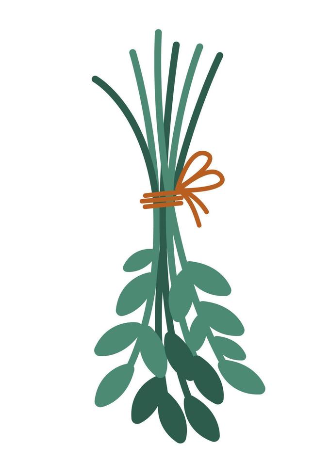 Vector cute leaves bouquet. Flat style crop bunch tied with rope. Funny plant illustration isolated on white background. Drying green twigs hanging upside down. Farm herbs icon
