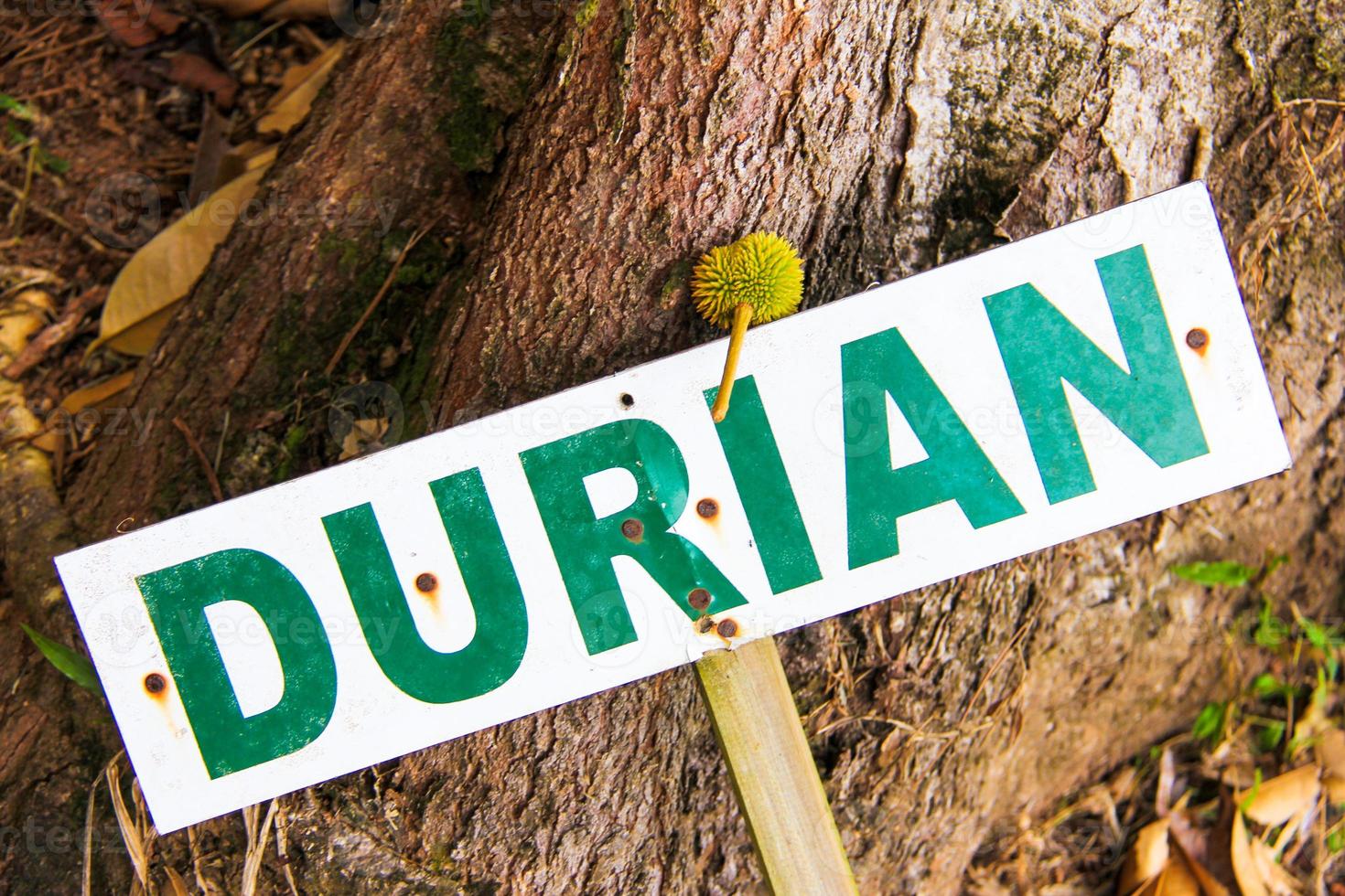 Sign saying durian photo