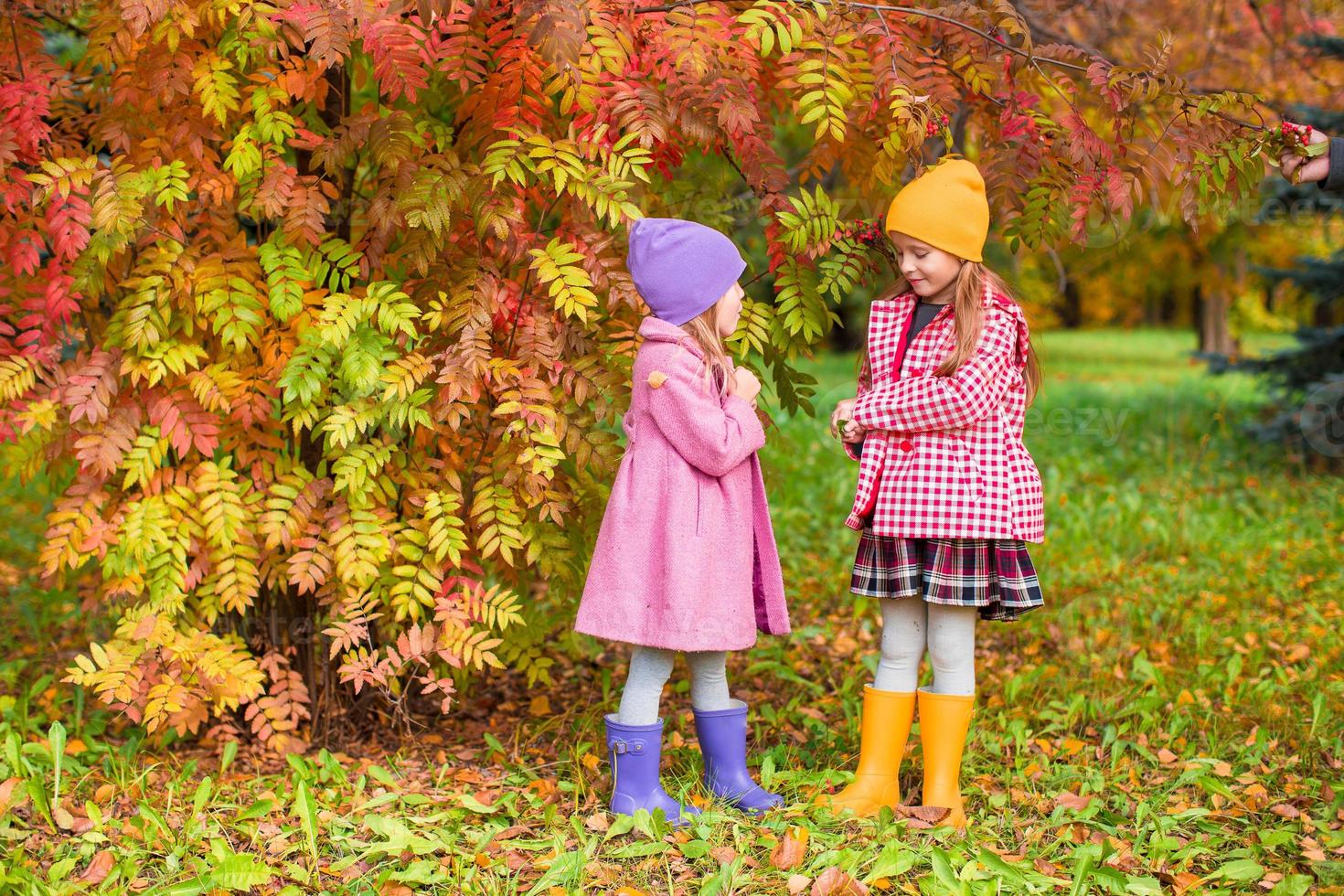 Adorable little girls at beautiful autumn day outdoors photo