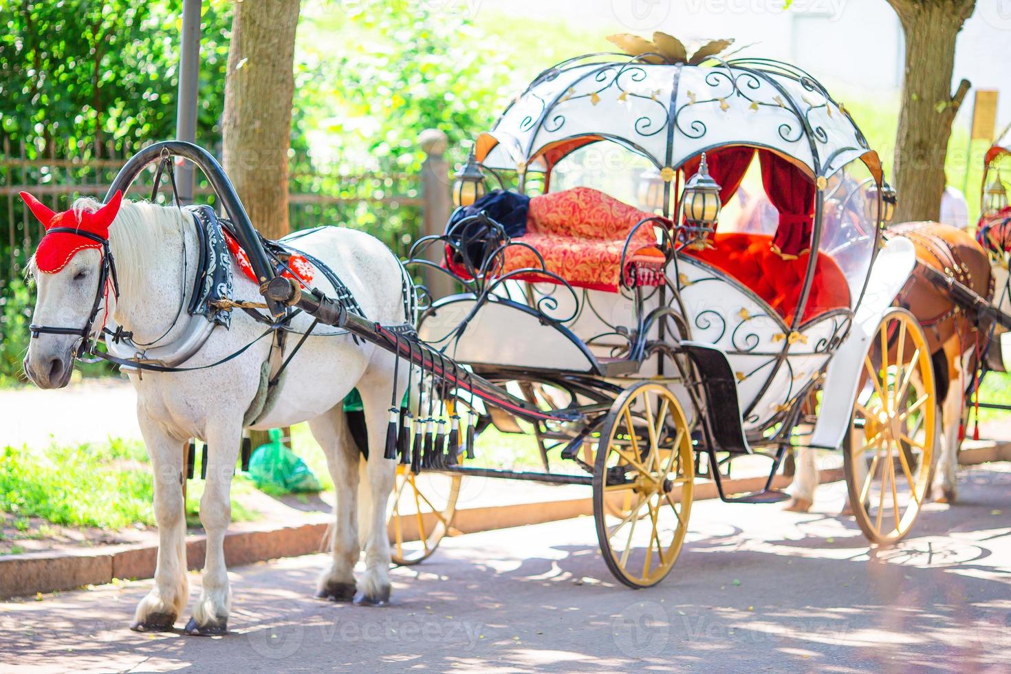 Traditional horse coach Fiaker in Europe photo