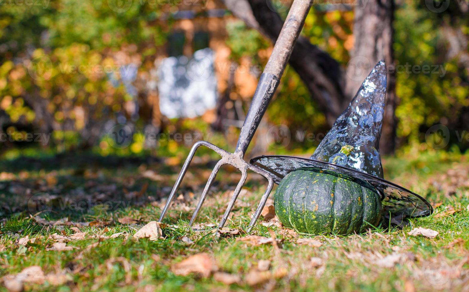 View of Halloween Pumpkins, witch's hat and rake outdoors photo