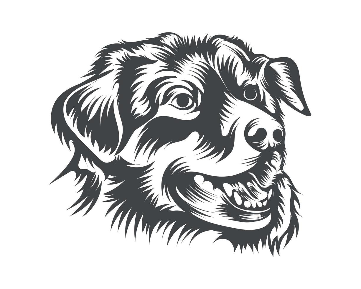 Australian Shepherd Dog Face Black and White Vector