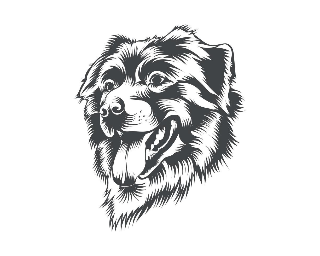 Australian Shepherd Dog Face Black and White Vector