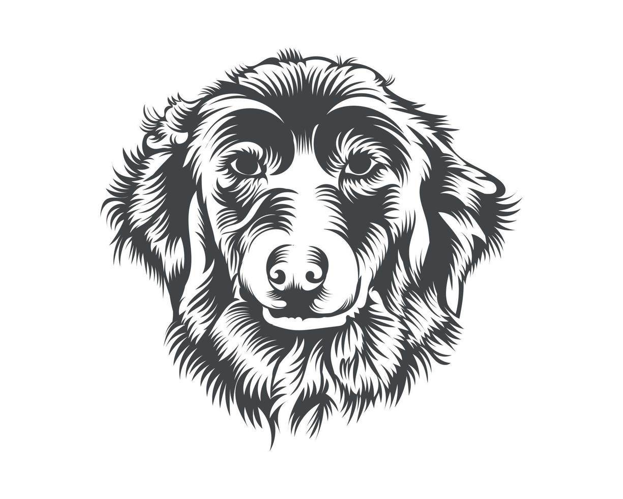 Australian Shepherd Dog Face Black and White Vector