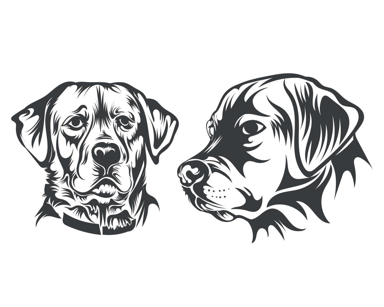 Black and White Retriever Dog Face illustration for t-shirt vector