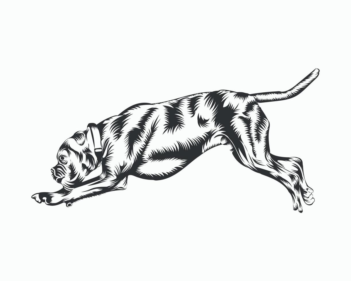 ilustración de vector de perro boxer, vector de perro boxer sobre fondo blanco