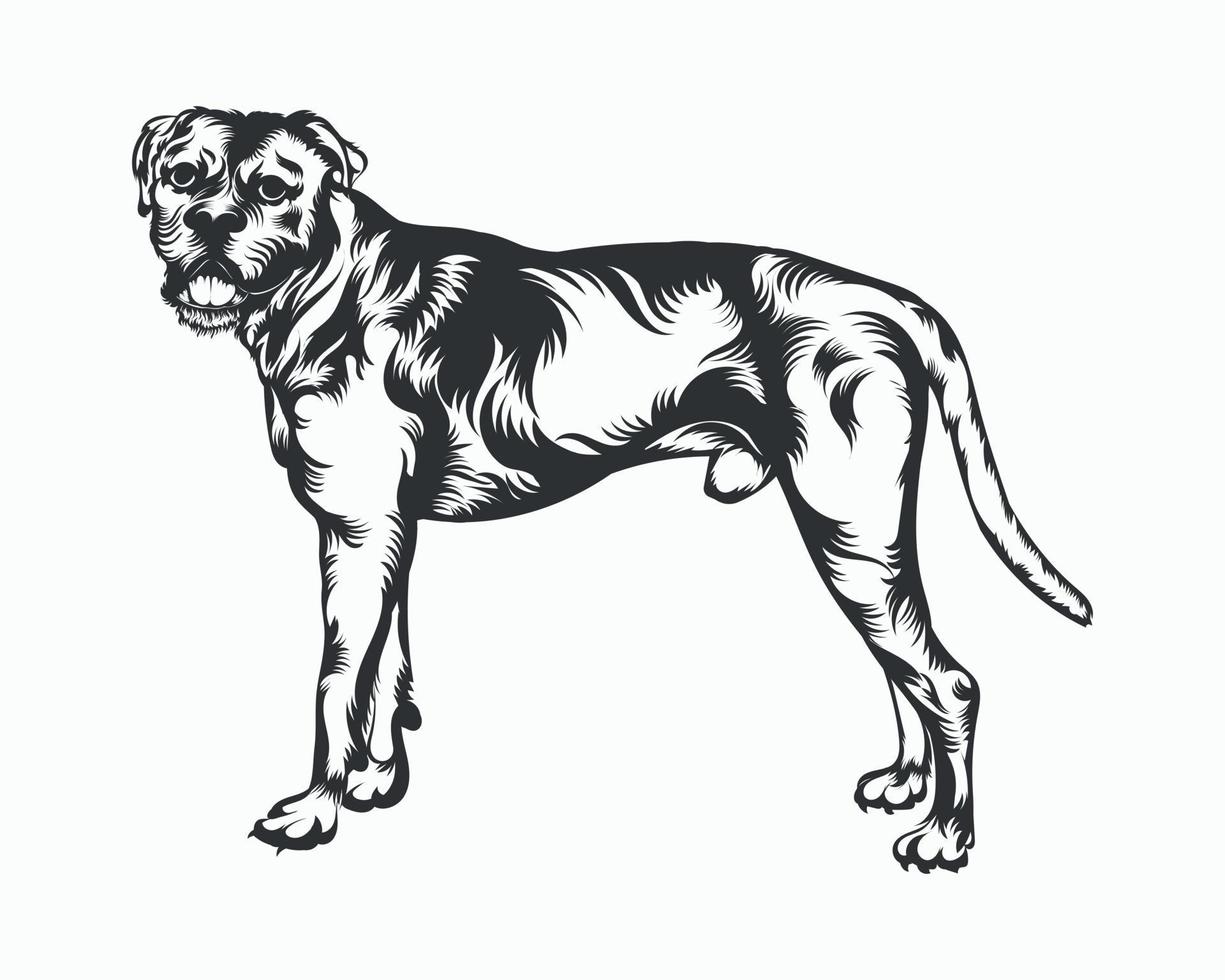 ilustración de vector de perro boxer, vector de perro boxer sobre fondo blanco