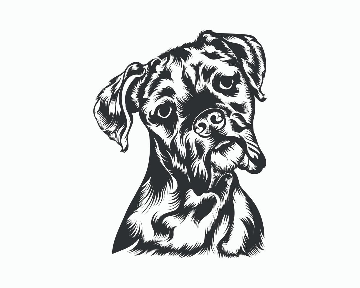 ilustración de vector de perro boxer, vector de perro boxer sobre fondo blanco