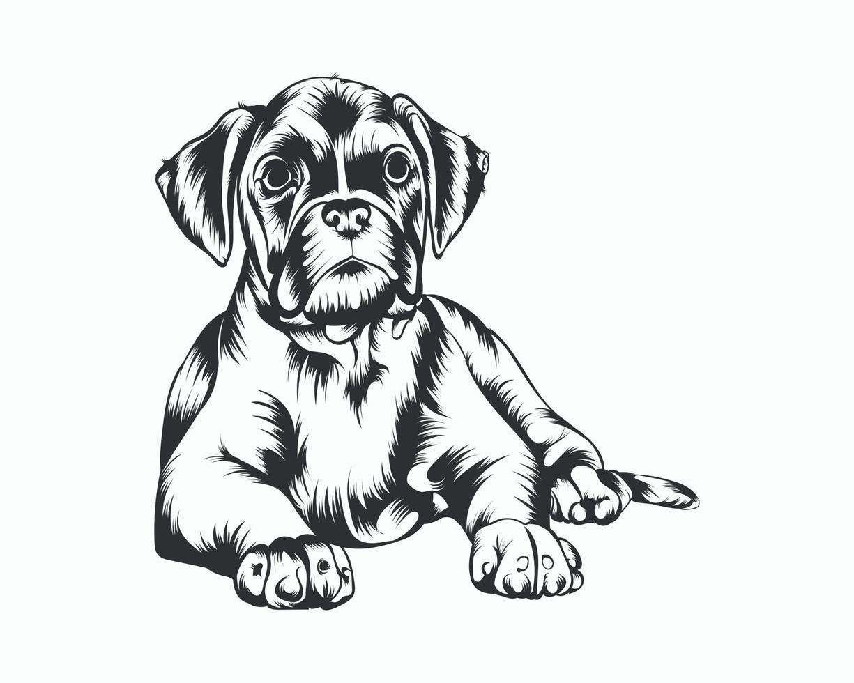 ilustración de vector de perro boxer, vector de perro boxer sobre fondo blanco