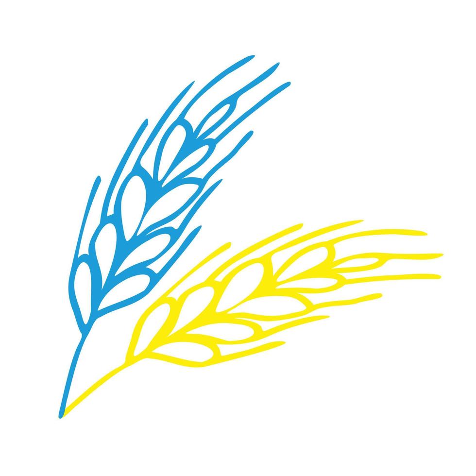 Blue and yellow Spikelet  of wheat in doodle style. Simple black and white sketch of wheat, barley or rye stalk for bakery products, flour, package.Vector illustration vector