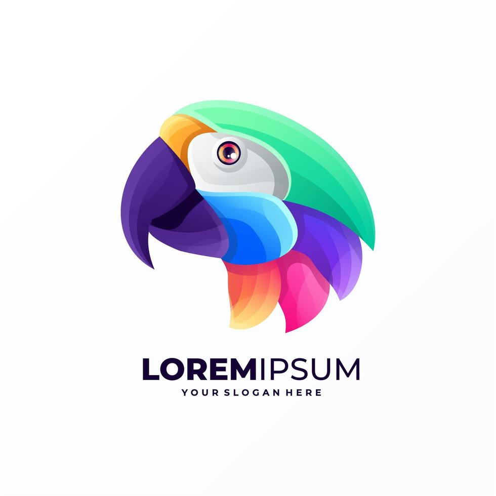 Colorful parrot logo design vector illustration.