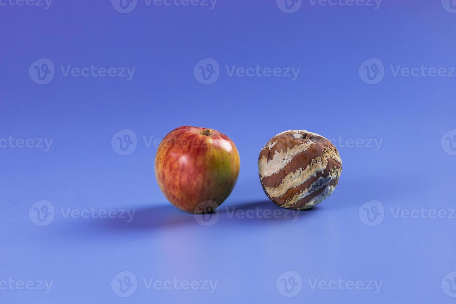 Apple with mold and fresh apple on background - mold growth and food spoilage concept photo