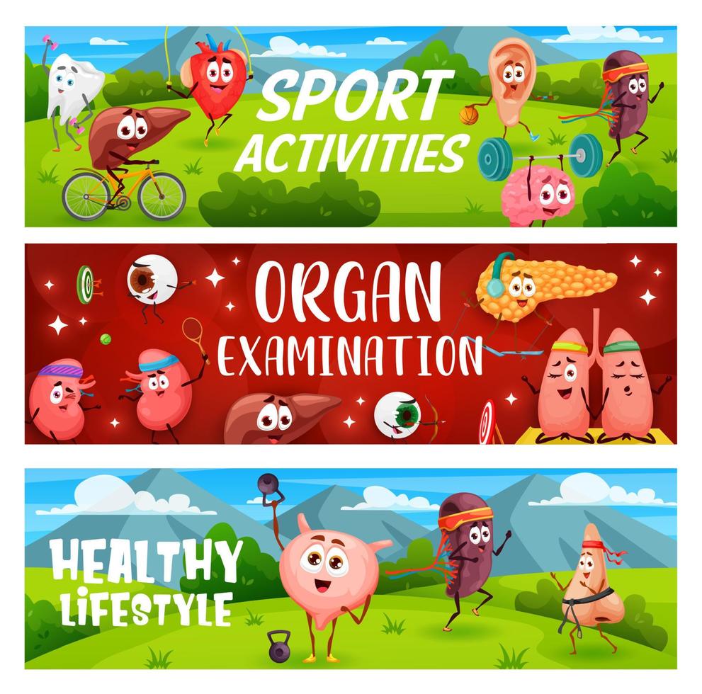 Healthy lifestyle, sports activity, human organs vector