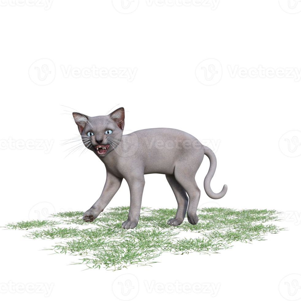 chat avec de l'herbe verte png